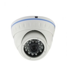 Camera SILICON RSI-N225S Vandal Proof IR Dome Camera 1.3 Mega Pixel